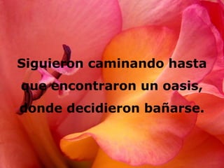 Siguieron caminando hasta
que encontraron un oasis,
donde decidieron bañarse.
 