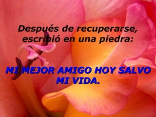 Después de recuperarse,
escribió en una piedra:
MI MEJOR AMIGO HOY SALVOMI MEJOR AMIGO HOY SALVO
MI VIDA.MI VIDA.
 