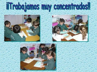 Los Dragones en el Jardín