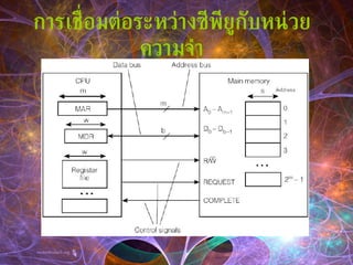 การเชื่อมต่อระหว่างซีพียูกับหน่วยความจำ 
