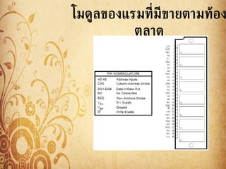 โมึϸลྺองแรมที่มีขายตามท้องตลาด 