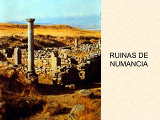 RUINAS DE NUMANCIA 