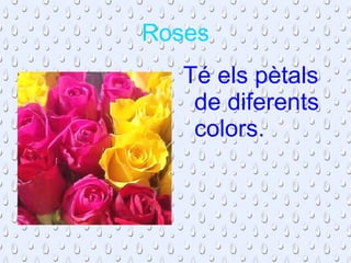 Roses Té els pètals de diferents colors. 