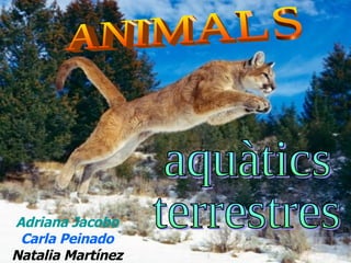 Adriana Jacobo Carla Peinado Natalia Martínez ANIMALS aquàtics terrestres 