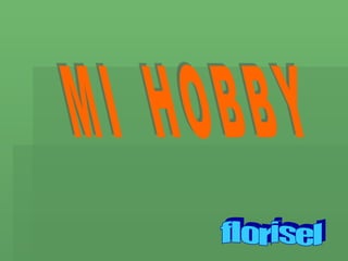 MI  HOBBY florisel 