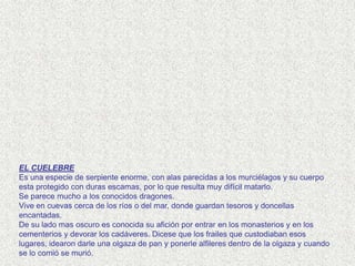 EL CUELEBRE
Es una especie de serpiente enorme, con alas parecidas a los murciélagos y su cuerpo
esta protegido con duras escamas, por lo que resulta muy difícil matarlo.
Se parece mucho a los conocidos dragones.
Vive en cuevas cerca de los ríos o del mar, donde guardan tesoros y doncellas
encantadas.
De su lado mas oscuro es conocida su afición por entrar en los monasterios y en los
cementerios y devorar los cadáveres. Dicese que los frailes que custodiaban esos
lugares, idearon darle una olgaza de pan y ponerle alfileres dentro de la olgaza y cuando
se lo comió se murió.
 