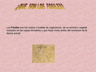 Los Fósiles son los restos o huellas de organismos, de un animal o vegetal incluidos en las capas terrestres y que haya vivido antes del comienzo de la época actual. ¿QUE SON LOS FOSILES?