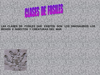 CLASES DE FOSILES LAS CLASES DE FOSILES QUE EXISTEN SON LOS DINOSAURIOS LOS BICHOS E INSECTOS Y CREATURAS DEL MAR.