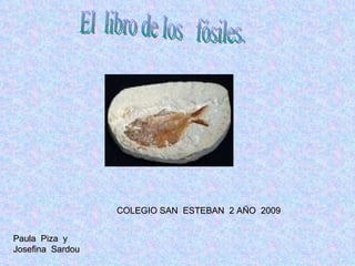 El  libro de los  fósiles. Paula  Piza  y  Josefina  Sardou COLEGIO SAN  ESTEBAN  2 AÑO  2009 