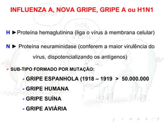 INFLUENZA A, NOVA GRIPE, GRIPE A ou H1N1 SUB-TIPO FORMADO POR MUTAÇÃO: -  GRIPE ESPANHOLA (1918 – 1919  >  50.000.000  -  GRIPE HUMANA -  GRIPE SUÍNA -  GRIPE AVIÁRIA H   ►Proteína hemaglutinina (liga o vírus à membrana celular) N   ► Proteína  neuraminidase (conferem a maior virulência do  vírus, dispotencializando os antígenos) 