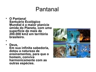 Pantanal  O Pantanal  Santuário Ecológico Mundial é a maior planície úmida do Planeta, com uma superfície de mais de 200.000 km2 em território brasileiro. Deus,  Em sua infinita sabedoria, dotou a natureza de ensinamentos, para que o homem, conviva harmonicamente com as outras espécies. 