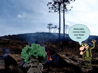 Desculpe, nunca mais vou fazer isso. 