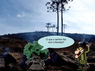 O que o senhor fez com a floresta? 
