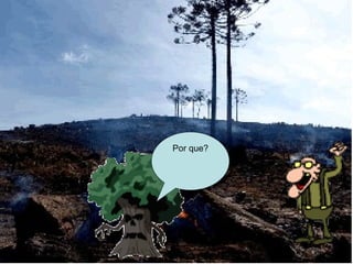 Por que? 
