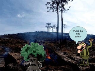 Puxa! Eu não sabia. 