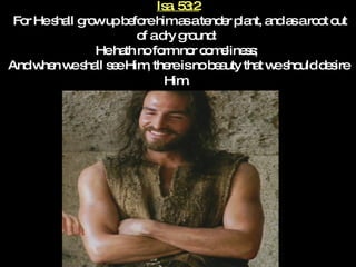Isa. 53:2  For He shall grow up before him as a tender plant, and as a root out of a dry ground:  He hath no form nor comeliness;  And when we shall see Him, there is no beauty that we should desire Him.   