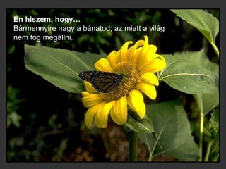 Én hiszem, hogy… Bármennyire nagy a bánatod; az miatt a világ nem fog megállni.  
