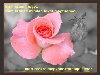 Én hiszem, hogy… Nem szabad minden titkot megtudnod, mert örökre megváltoztathatja életed.   