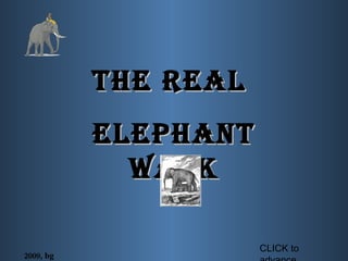 THE REAL  ELEPHANT WALK 2009, bg CLICK to advance 