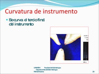 Curvatura de instrumento <ul><li>Se curva  el tercio final del instrumento </li></ul>UNMSM  Facultad de Odontologia  Depar...