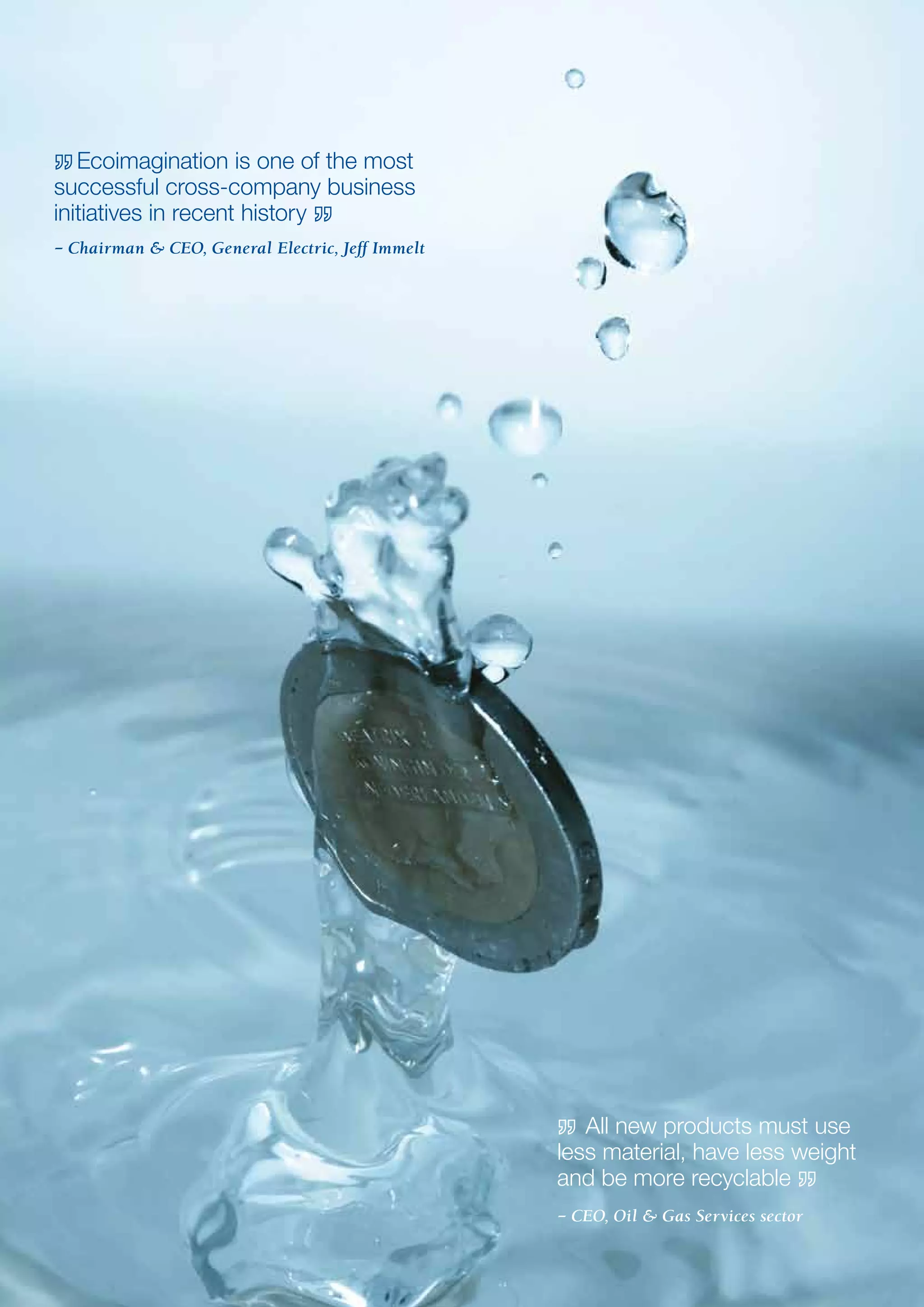 Report - Mastering The Triple Bottom Line