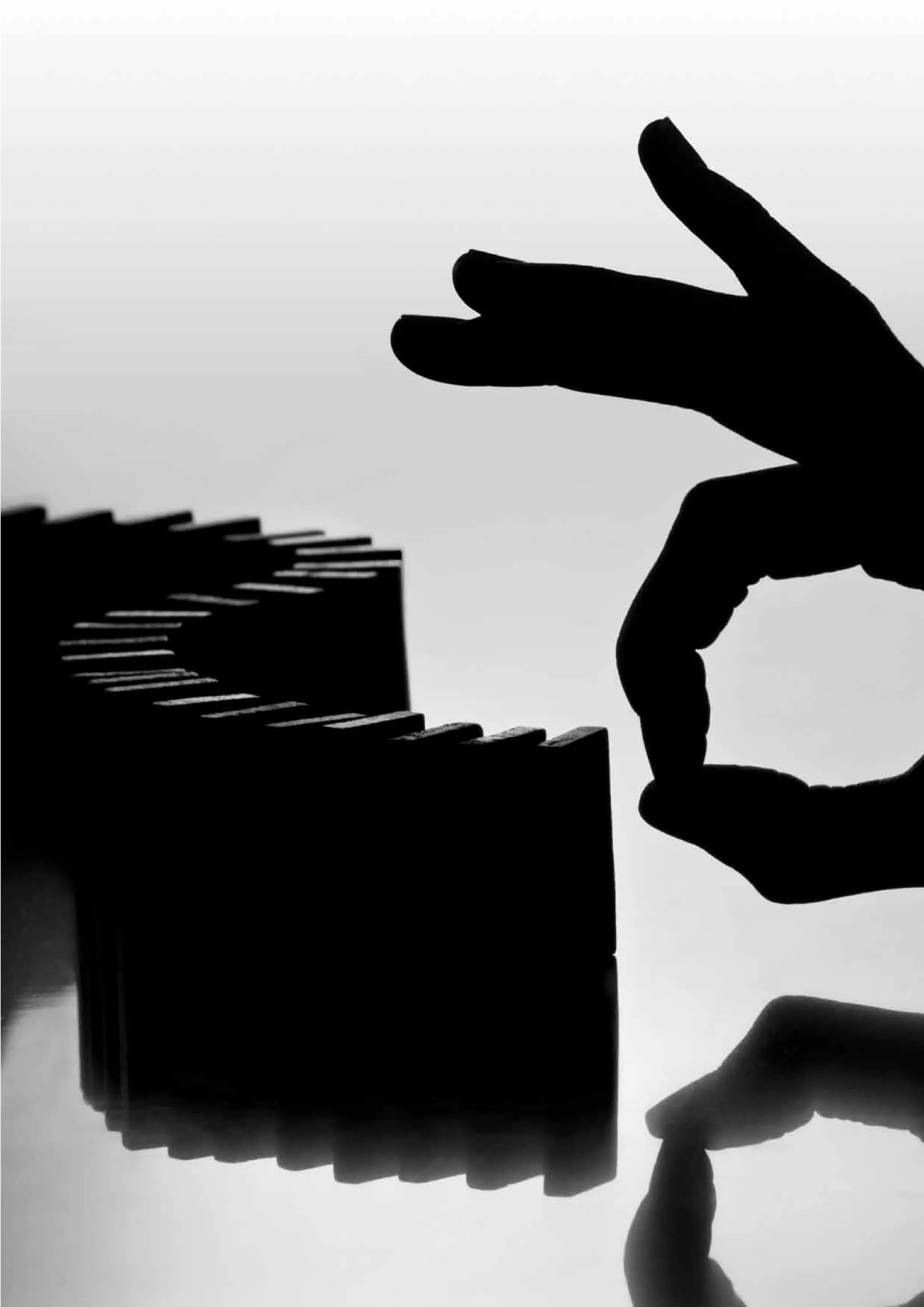 Report - Mastering The Triple Bottom Line