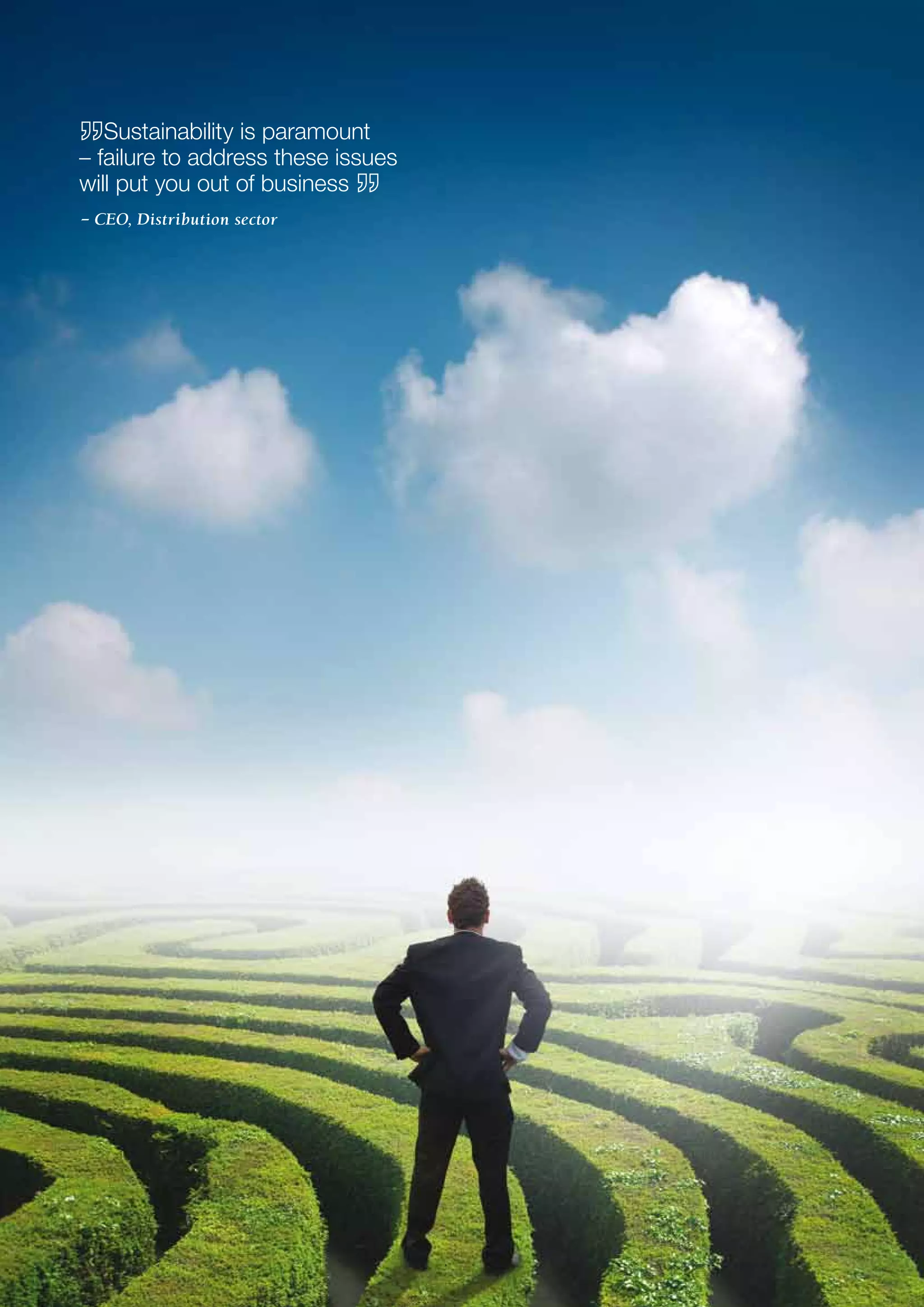 Report - Mastering The Triple Bottom Line