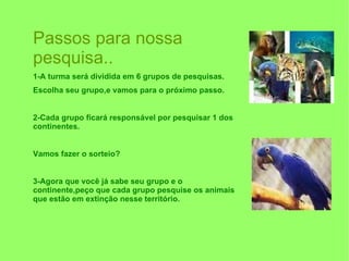 Passos para nossa pesquisa.. 1-A turma será dividida em 6 grupos de pesquisas.  Escolha seu grupo,e vamos para o próximo passo. 2-Cada grupo ficará responsável por pesquisar 1 dos continentes. Vamos fazer o sorteio? 3-Agora que você já sabe seu grupo e o continente,peço que cada grupo pesquise os animais que estão em extinção nesse território. 