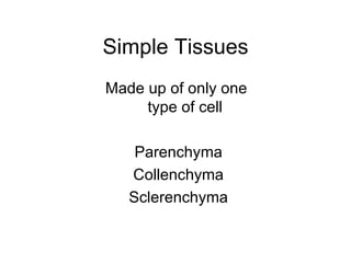 Simple Tissues
Made up of only one
     type of cell

    Parenchyma
   Collenchyma
   Sclerenchyma
 