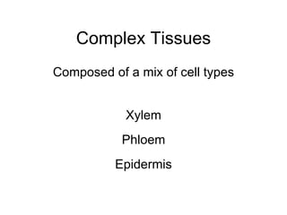 Complex Tissues
Composed of a mix of cell types


            Xylem
           Phloem
          Epidermis
 