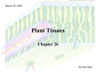 March 28, 2005




                 Plant Tissues

                   Chapter 26




                                 Jin Hoe Huh
 