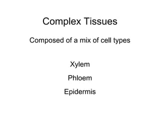 Complex Tissues
Composed of a mix of cell types


            Xylem
           Phloem
          Epidermis
 