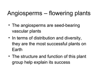 Angiosperms – flowering plants
• The angiosperms are seed-bearing
  vascular plants
• In terms of distribution and diversity,
  they are the most successful plants on
  Earth
• The structure and function of this plant
  group help explain its success
 