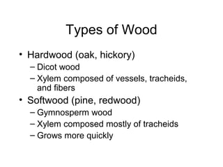 Types of Wood
• Hardwood (oak, hickory)
  – Dicot wood
  – Xylem composed of vessels, tracheids,
    and fibers
• Softwood (pine, redwood)
  – Gymnosperm wood
  – Xylem composed mostly of tracheids
  – Grows more quickly
 