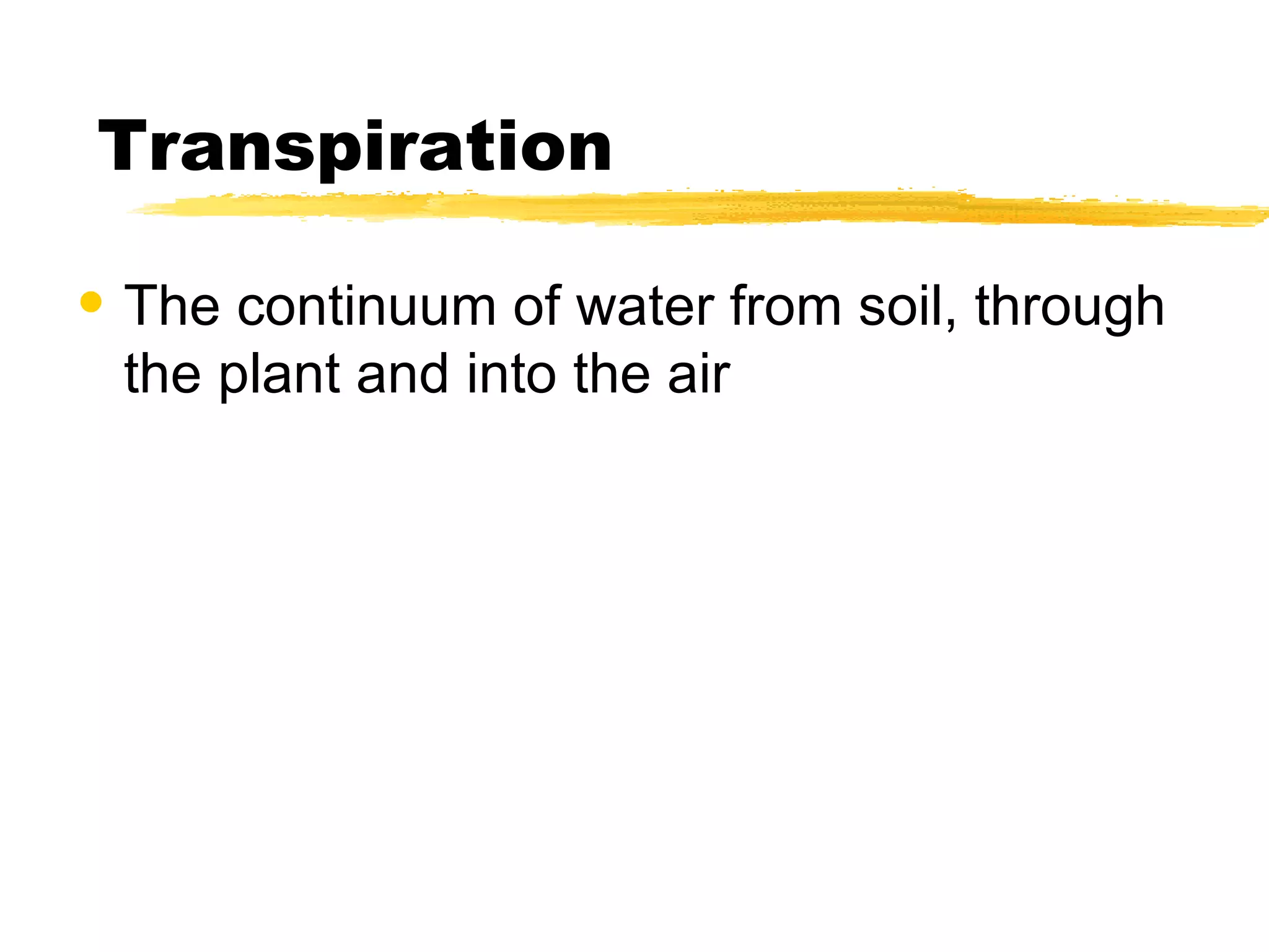 Transpiration The continuum of water from soil, through the plant and into the air 