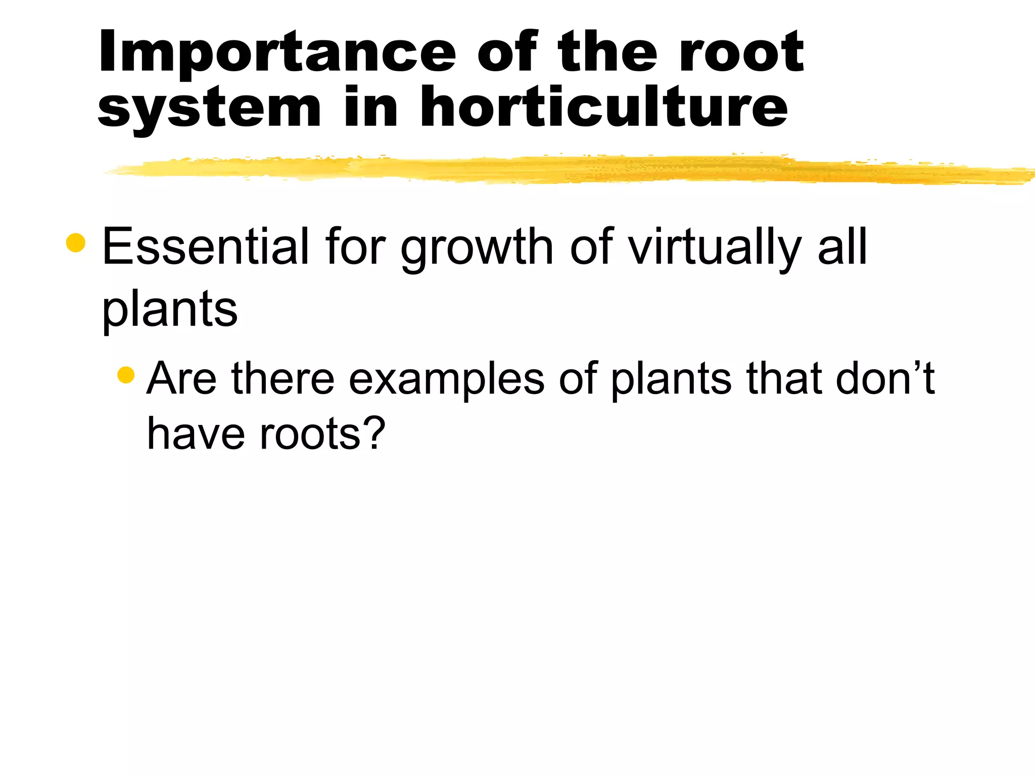 Importance of the root system in horticulture Essential for growth of virtually all plants Are there examples of plants that don’t have roots? 
