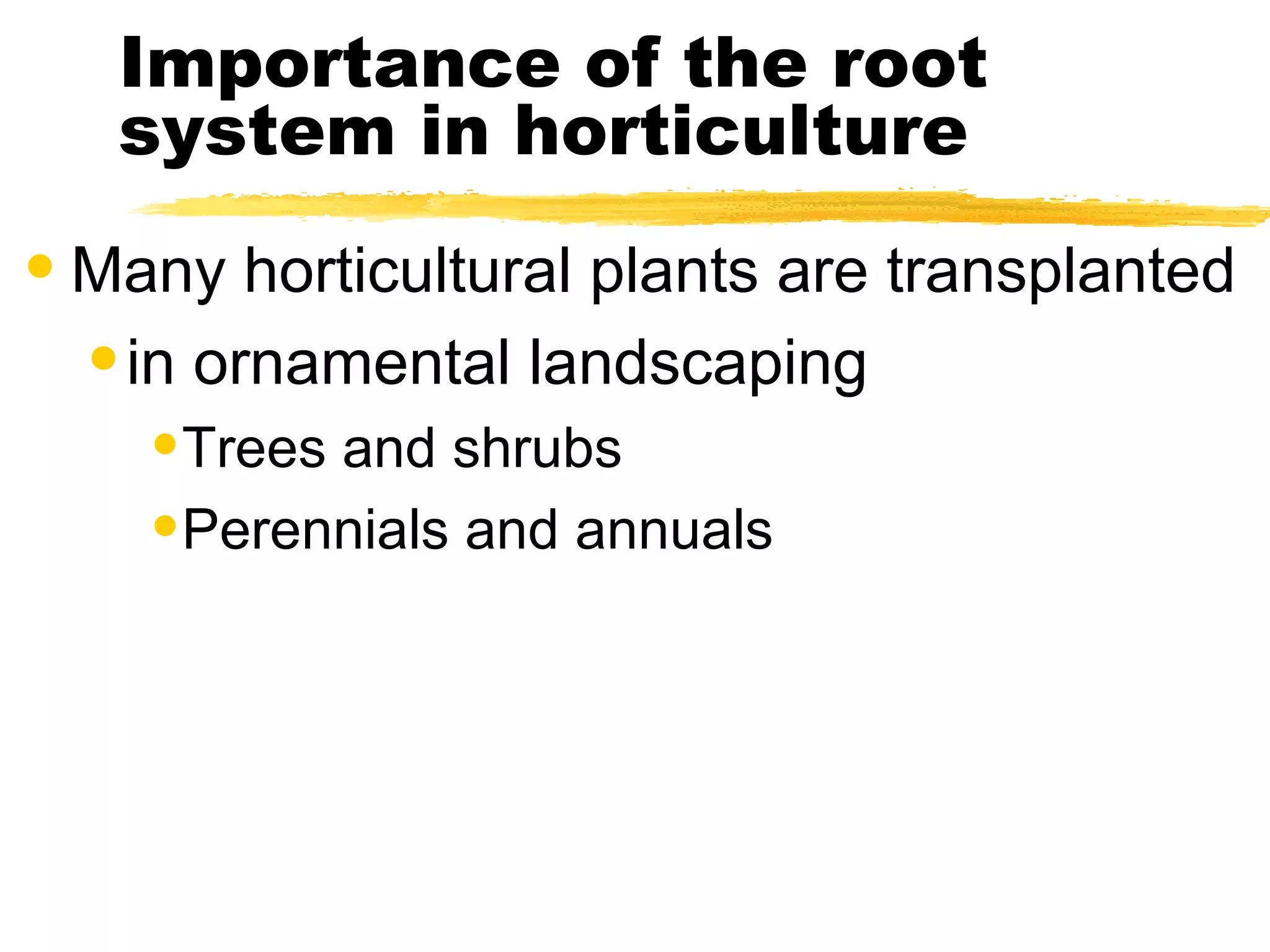 Importance of the root system in horticulture Many horticultural plants are transplanted in ornamental landscaping Trees and shrubs Perennials and annuals 