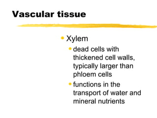 Vascular tissue Xylem dead cells with thickened cell walls, typically larger than phloem cells functions in the transport of water and mineral nutrients 