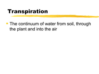 Transpiration The continuum of water from soil, through the plant and into the air 