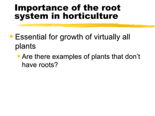 Importance of the root system in horticulture Essential for growth of virtually all plants Are there examples of plants that don’t have roots? 