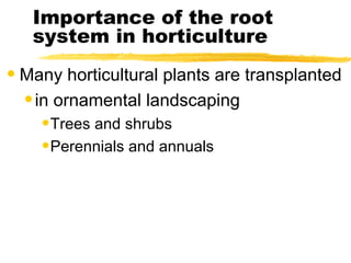 Importance of the root system in horticulture Many horticultural plants are transplanted in ornamental landscaping Trees and shrubs Perennials and annuals 