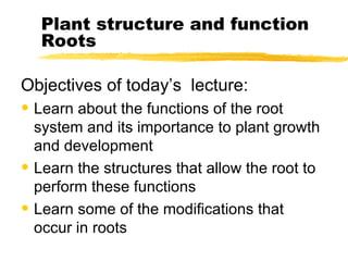 Plant structure and function Roots ,[object Object],[object Object],[object Object],[object Object]