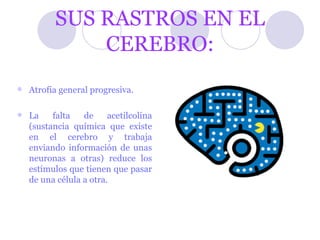 SUS RASTROS EN EL CEREBRO: Atrofia general progresiva. La falta de acetilcolina (sustancia química que existe en el cerebro y trabaja enviando información de unas neuronas a otras) reduce los estímulos que tienen que pasar de una célula a otra. 
