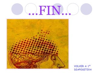 … FIN… VOLVER A 1ª   DIAPOSITIVA 