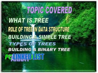 TOPIC COVERED WHAT IS TREE ROLE OF TREE IN DATA STRUCTURE BUILDING A SIMPLE TREE TYPES OF TREES BUILDING A BINARY TREE INORDER PRE ORDER POST ORDER ARRAY LINKED LIST 