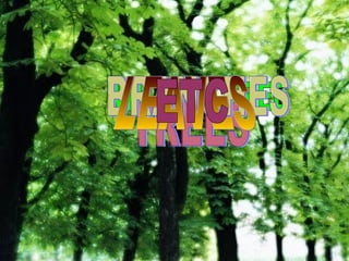 WHAT IS TREE TREES BRANCHES LEAVES ETC 