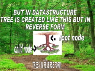 BUT IN DATASTRUCTURE TREE IS CREATED LIKE THIS BUT IN  REVERSE FORM --> TREES IN REVERSE FORM -> child node <- root node 