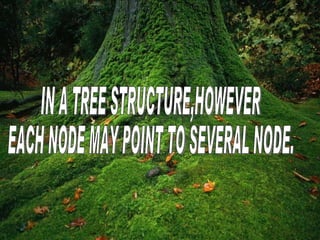 IN A TREE STRUCTURE,HOWEVER EACH NODE MAY POINT TO SEVERAL NODE. 