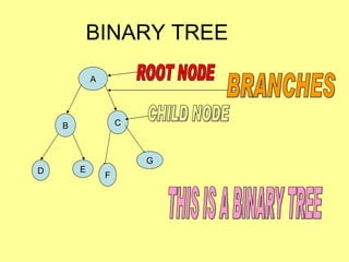 BINARY TREE A B C D E F G THIS IS A BINARY TREE ROOT NODE CHILD NODE BRANCHES 