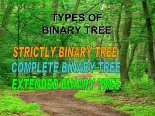 TYPES OF BINARY TREE STRICTLY BINARY TREE COMPLETE BINARY TREE EXTENDED BINARY TREE 